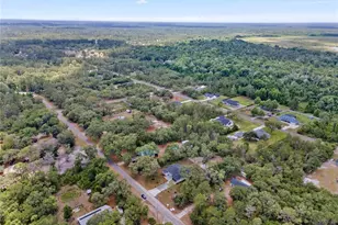 30076 Apricot Ave, Eustis, FL 32736 - Photo 5