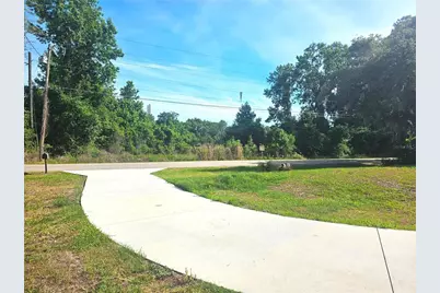 259 Toms Road, Debary, FL 32713 - Photo 3