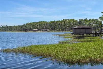 11617 Camden Park Drive, Windermere, FL 34786 - Photo 57