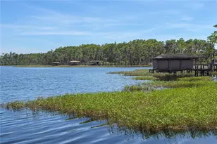 11617 Camden Park Dr, Windermere, FL 34786 - Photo 57