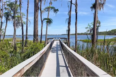 11617 Camden Park Drive, Windermere, FL 34786 - Photo 57