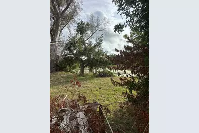 3415 Overland Drive, Holiday, FL 34691 - Photo 13