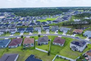 3936 Fescue St, Clermont, FL 34714 - Photo 51