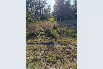0 SW 142 Court, Ocala, FL 34481 - Photo 3