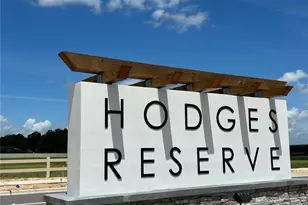 24550 Hodges Reserve Ave, Howey in the Hills, FL 34737 - Photo 25