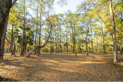 8600 NE 147th Avenue Road, Silver Springs, FL 34488 - Photo 15