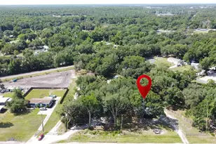 6590 Osceola Polk Line Rd, Davenport, FL 33896 - Photo 21