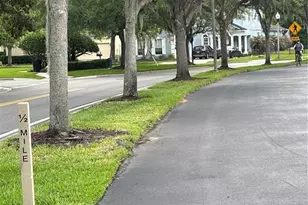15532 Ave Of The Arbors, Winter Garden, FL 34787 - Photo 155