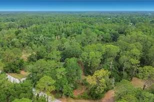 1210 Pinebend Dr, Lakeland, FL 33809 - Photo 3
