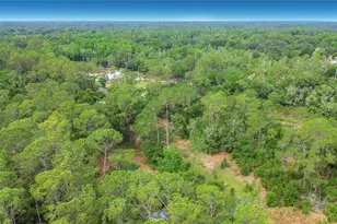 1210 Pinebend Dr, Lakeland, FL 33809 - Photo 41