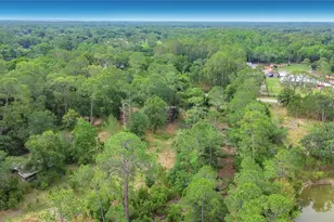 1210 Pinebend Dr, Lakeland, FL 33809 - Photo 39