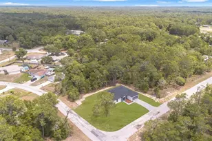 9651 W Pineview Way, Dunnellon, FL 34434 - Photo 49