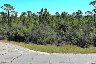 [Address not provided], Placida, FL 33946 - Photo 1
