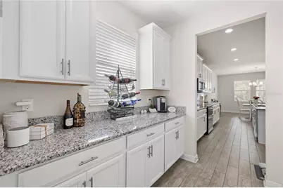 5864 Alenlon Way, Mount Dora, FL 32757 - Photo 11