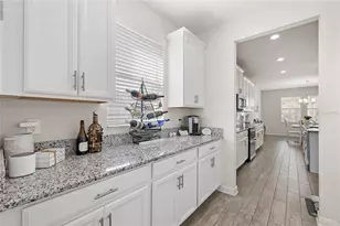 5864 Alenlon Way, Mount Dora, FL 32757 - Photo 11