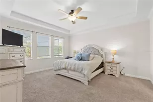 5864 Alenlon Way, Mount Dora, FL 32757 - Photo 17