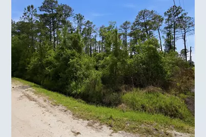 1490 10th Avenue, Deland, FL 32724 - Photo 5