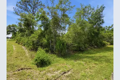 1704 7th Avenue, Deland, FL 32724 - Photo 5