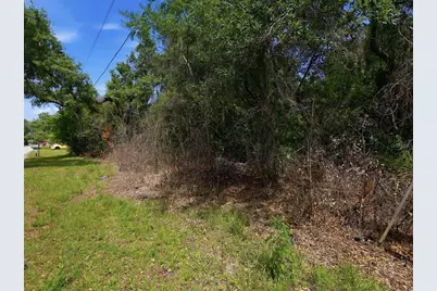 W Lake Drive, Deland, FL 32724 - Photo 5