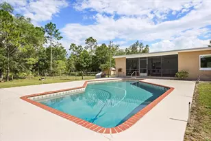 20963 E Colonial Dr, Christmas, FL 32709 - Photo 31