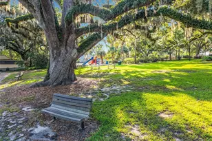 210 Weeping Elm Ln, Longwood, FL 32779 - Photo 51