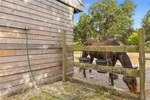 19802 Peabody St, Orlando, FL 32833 - Photo 49