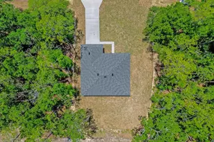 1377 W Alexander Dr, Citrus Springs, FL 34434 - Photo 45
