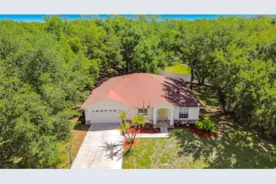2917 Evans Way, Kissimmee, FL 34758 - Photo 3