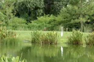 5513 Somersby Rd, Windermere, FL 34786 - Photo 27