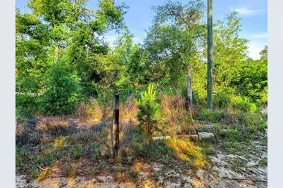 Jewell Drive, Deland, FL 32720 - Photo 3