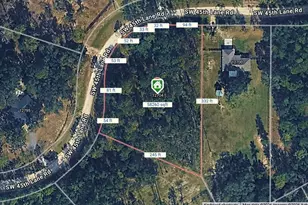 12704 SW 45th Lane Rd, Ocala, FL 34481 - Photo 3