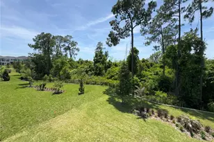 17342 Glossy Pomelo Wy, Winter Garden, FL 34787 - Photo 67