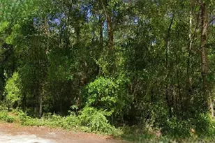 NE 6th Ln Rd, Silver Springs, FL 34488 - Photo 1