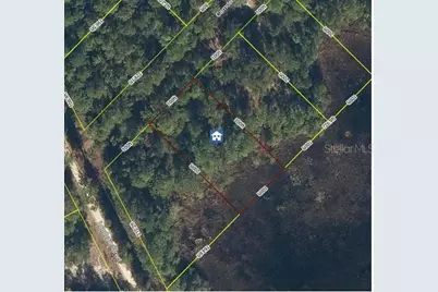 103 Brierly Street, Georgetown, FL 32139 - Photo 1