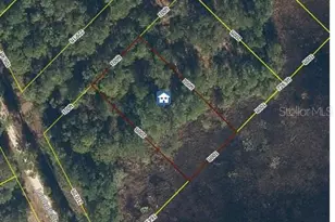 103 Brierly St, Georgetown, FL 32139 - Photo 1