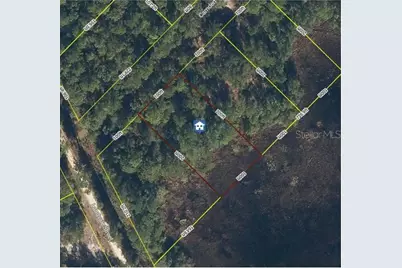 103 Brierly Street, Georgetown, FL 32139 - Photo 5