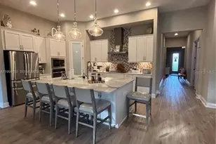 9173 Warm Spgs Cir, Parrish, FL 34219 - Photo 3