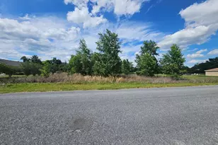 SE 140th St, Summerfield, FL 34491 - Photo 1