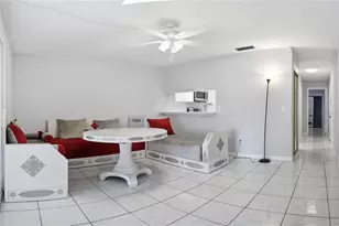 3801 N Oak Dr, Tampa, FL 33611 - Photo 19