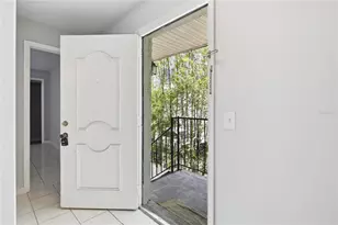 3801 N Oak Dr, Tampa, FL 33611 - Photo 7