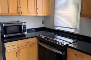 1004 Palmer St, Orlando, FL 32801 - Photo 23