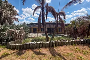 10408 Lago Louisa Ct, Clermont, FL 34711 - Photo 23