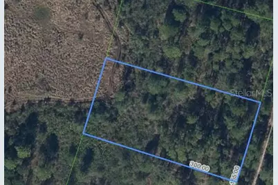 734 Dolphin Avenue, Lake Placid, FL 33852 - Photo 3