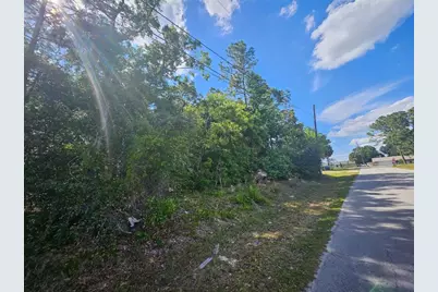 Se 89th Terrace, Belleview, FL 34420 - Photo 5