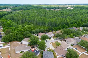 15406 Pepper Pine Ct, Land O Lakes, FL 34638 - Photo 27