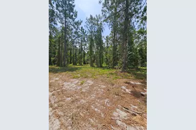Geneva Woods Cove, Geneva, FL 32732 - Photo 13