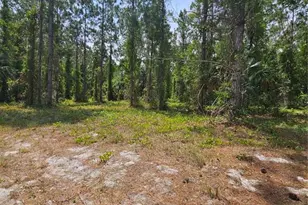 Geneva Woods Cove, Geneva, FL 32732 - Photo 13