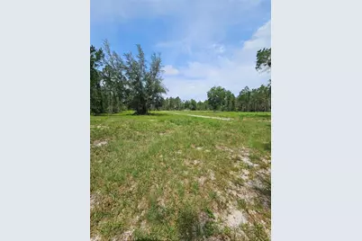 Geneva Woods Cove, Geneva, FL 32732 - Photo 5