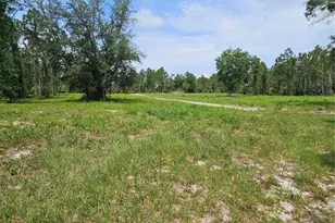 Geneva Woods Cove, Geneva, FL 32732 - Photo 5