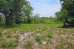 Geneva Woods Cove, Geneva, FL 32732 - Photo 15